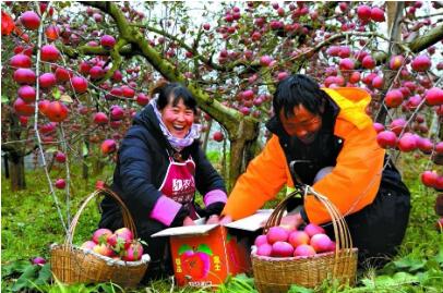 云南昭通：脱贫成果上台阶 乡村振兴开新局