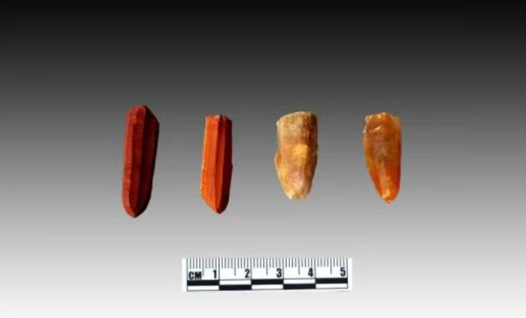 五项考古成果再次见证中华文明多元一体