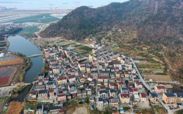 我国首个核电站周边“零碳示范村”建设启动