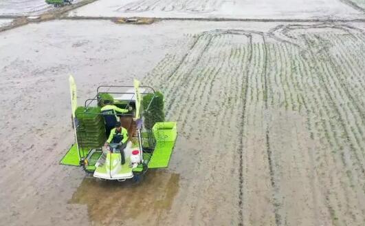 中农集团：农资保供 “一对一”服务 化肥减量增效