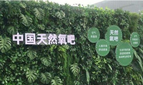 中国天然氧吧地区总面积已超90万平方公里