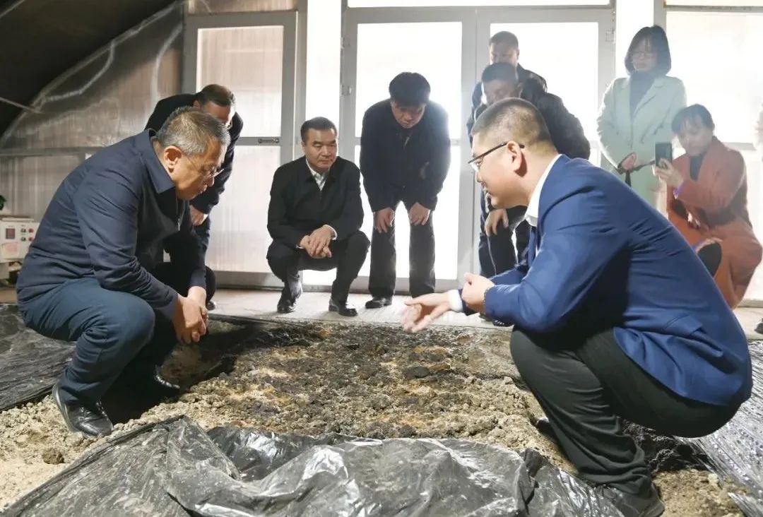 20230329191212236.jpg 20230329191212236.jpg