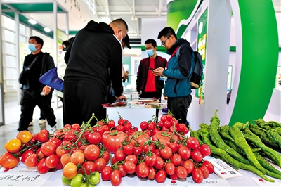 中国种子积极“走出去” “遍地开花”仍需过关迈槛
