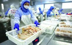 十一部门发文 培育传统优势食品产区和地方特色食品产业