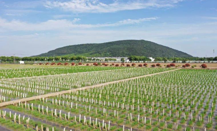 我国新收集农作物种质资源12.4万份