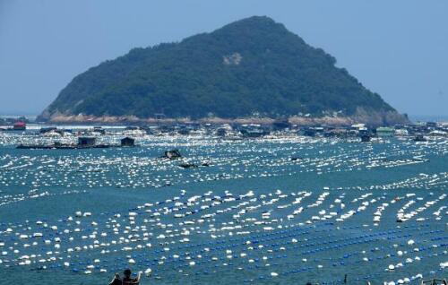 “一鱼多吃”推动福建连江一二三产业融合发展