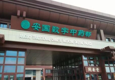 “千年药都”安国打造现代“国际范儿”