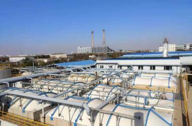 实施绿色低碳发展行动 天津泰达股份交出亮眼成绩单