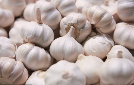 美国对进口自中国新鲜大蒜作出反倾销终裁