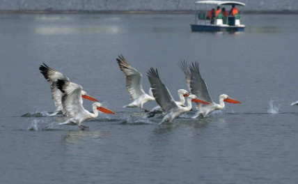 北京成为世界生物多样性最丰富的大都市之一