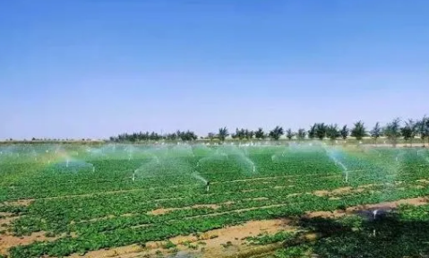 甘肃民勤：“智慧”解码驱动农业升级