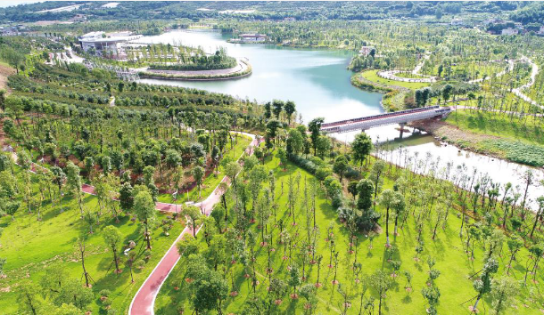 中国节能探索打造“生态环境治理+” 模式 绘就和谐共生美丽画卷