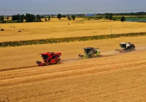 全国“三夏”麦收进度过半 已收冬小麦达1.64亿亩