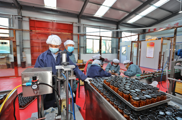 中国煤炭科工定点帮扶出实招 助力乡村振兴见实效