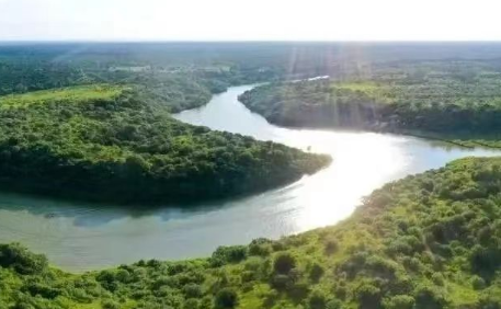 如何让黄河流域非遗文化绽放迷人光彩？