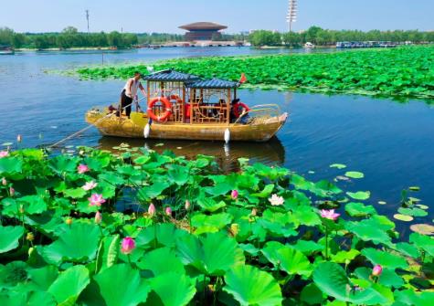 从课本到“行走的课堂” 暑期“课本游”人气旺