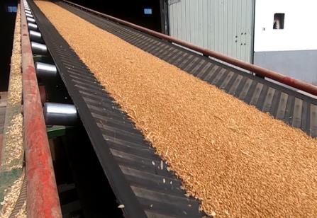 各地加大研发实现粮食利用最大化 耕好“无形良田”守好“大国粮仓”