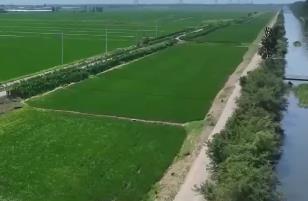 连续高温晴热 灌区提前蓄水保农田用水