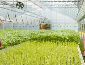 第十二届全国蔬菜规模化高效育苗技术经验交流会在贵阳举行