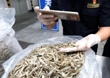 前5个月我国进口非洲农食产品增长26.5%