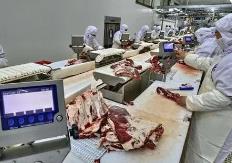 为肉类加工产业提供科技动能