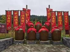 酒企频跨界 扩大消费群体