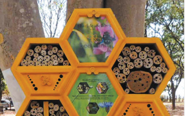 中国企业在海外建设中注重保护生物多样性——秉持绿色理念 维护地球家园