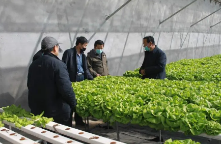 青海农业农村部门协调落实项目资金2.3亿元 推动助企暖企见实效