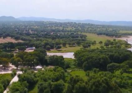 我国荒漠生态系统功能增强 53%可治理沙化土地得到治理