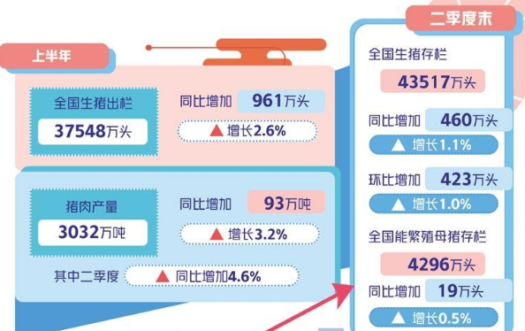 今年以来价格持续低迷，专家预计下半年猪价或温和回升
