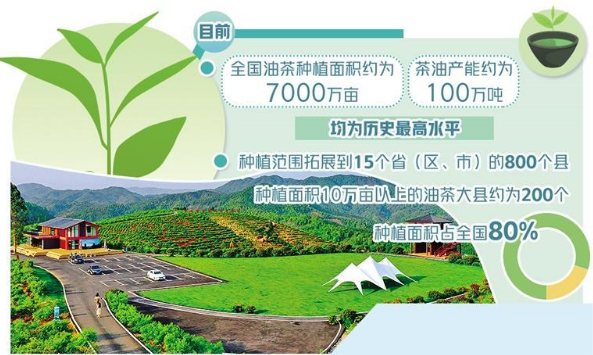 油茶产业如何做大做强