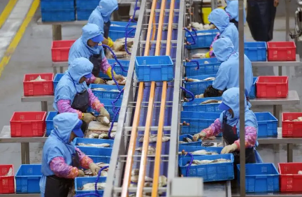 安徽霍邱：用“工业锅”炒“农业菜” 布局预制菜新赛道