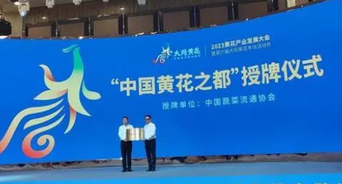山西大同获授“中国黄花之都”称号