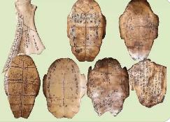 语言文化五大工程取得标志性成果