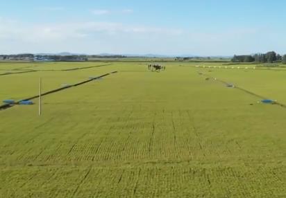 各地多措并举确保粮食丰收