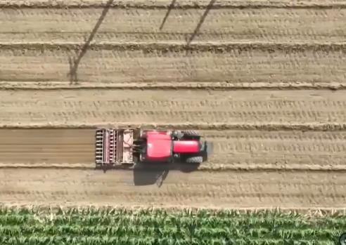 各受灾区分作物分灾情 分类施策抓好农业生产恢复