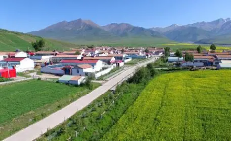 壮规模 建渠道 育新能 集体经济赋能青海海北州脱贫振兴有效衔接