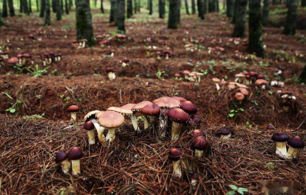 20230828104438213.png 20230828104438213.png