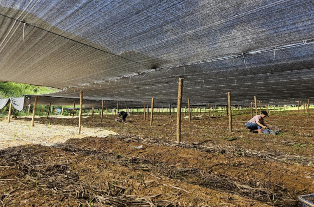 20230828104458436.png 20230828104458436.png