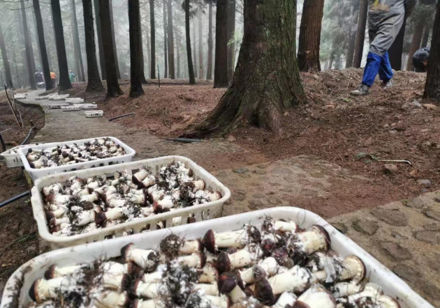 20230828104519172.png 20230828104519172.png