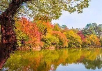 多地“上线”秋游产品 主题丰富线路多