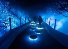 看景变“入景”，“出圈”又出彩 沉浸式旅游是怎样的体验？