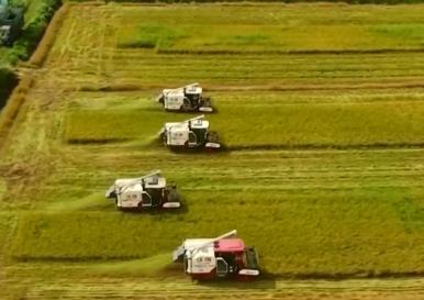 稻花“湘”里迎丰年 “鱼米之乡”湖南稳步提高粮食产能