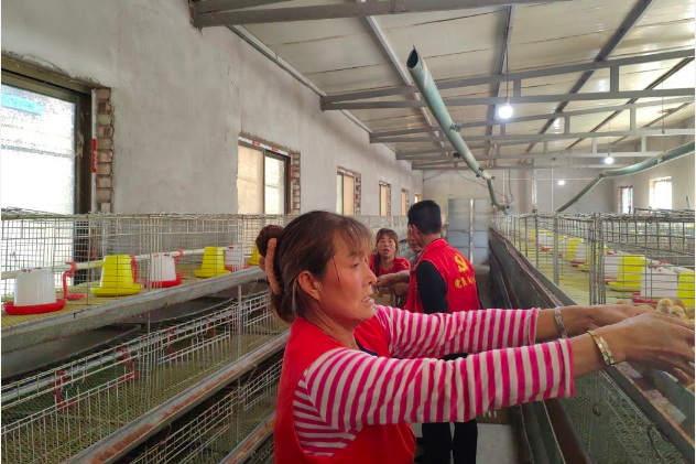 20230915154549877.png 20230915154549877.png