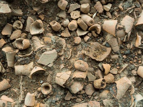 湖北天门石家河遗址考古工作有序进行