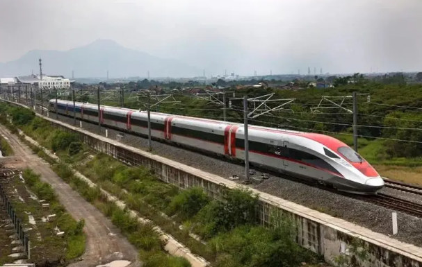 中国企业积极参与高质量共建“一带一路”——五个合作项目 十年繁荣之路