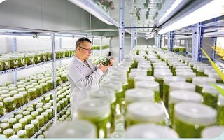 破难题、补短板、强优势 种业振兴取得阶段性成效