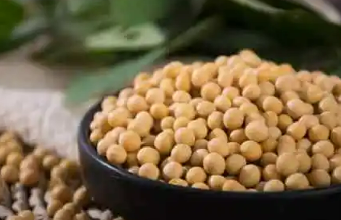 “中国大豆浸油之乡”黑龙江集贤着力打造大豆产业集群