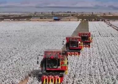 一朵棉花“链”起产业集群 一“增”一“减”棉纺业向“绿”发展