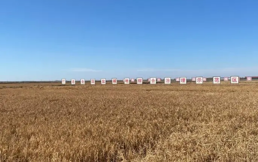 科技“唤醒”种粮潜能 吉林省最大单体盐碱地迎丰收